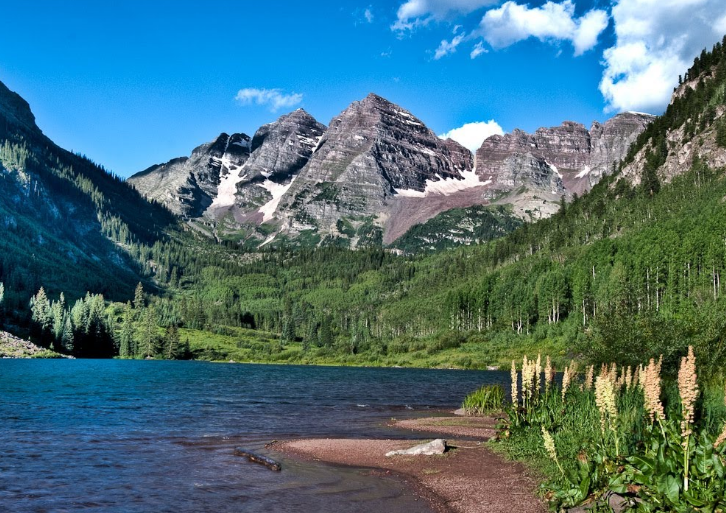 aspen